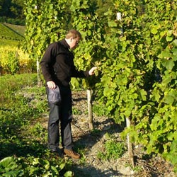 山東國(guó)新起重機(jī)械有限公司 